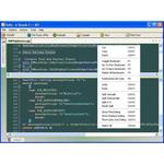 SallyIDE: The Code Editor