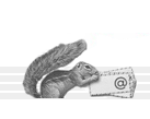 SquirrelMail Logo