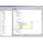 Teniga Javascript Editor