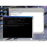 Launched with automatically loaded ipython