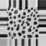 Screenshot thumbnail