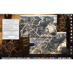 Screenshot thumbnail