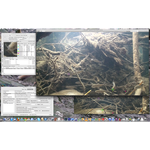 Screenshot thumbnail