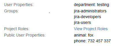 View JIRA Property